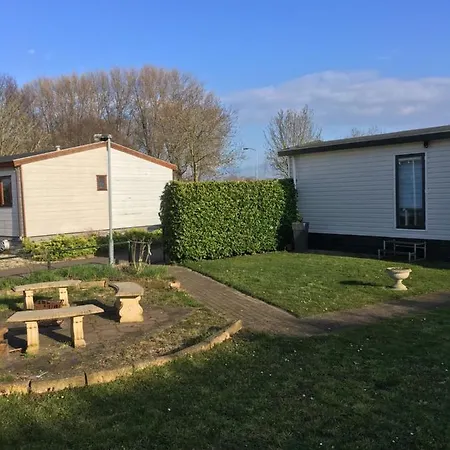 Ruime Midden In De In Lith